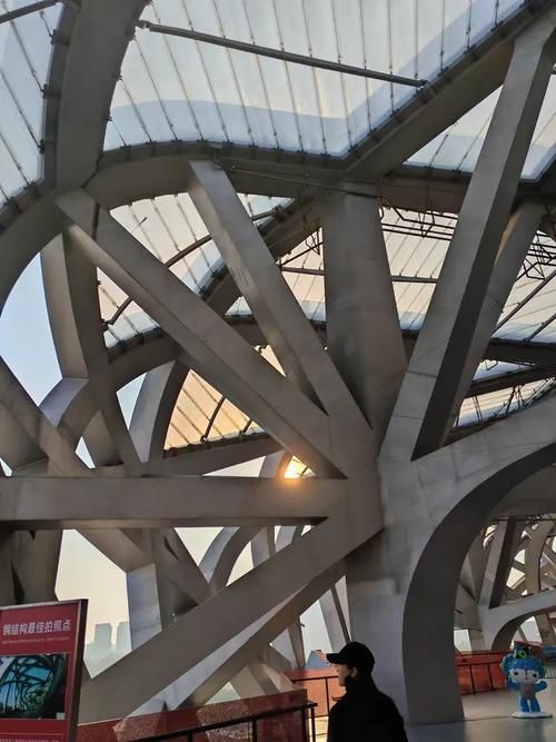 有哪些網架結構案例可以參考（有哪些網架結構案例可以參考思考） 行業(yè)新聞 第3張