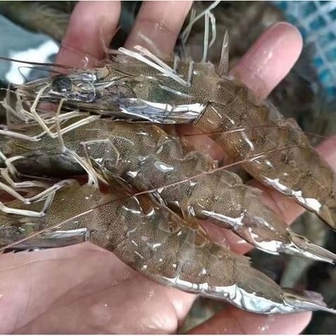 如何判斷注膠是否飽滿？（如何判斷注膠是否飽滿） 行業(yè)新聞 第12張