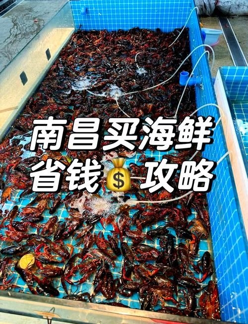 南昌水族批發(fā)市場（南昌水族批發(fā)市場\