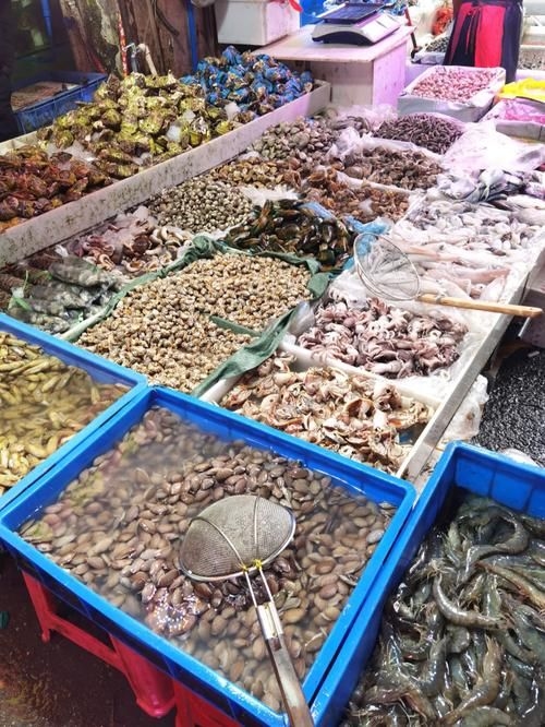 南昌水族批發(fā)市場（南昌水族批發(fā)市場\