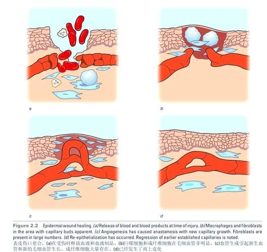 哪種補(bǔ)救方法副作用最??？