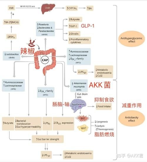 哪種補(bǔ)救方法副作用最??？ 行業(yè)新聞 第7張