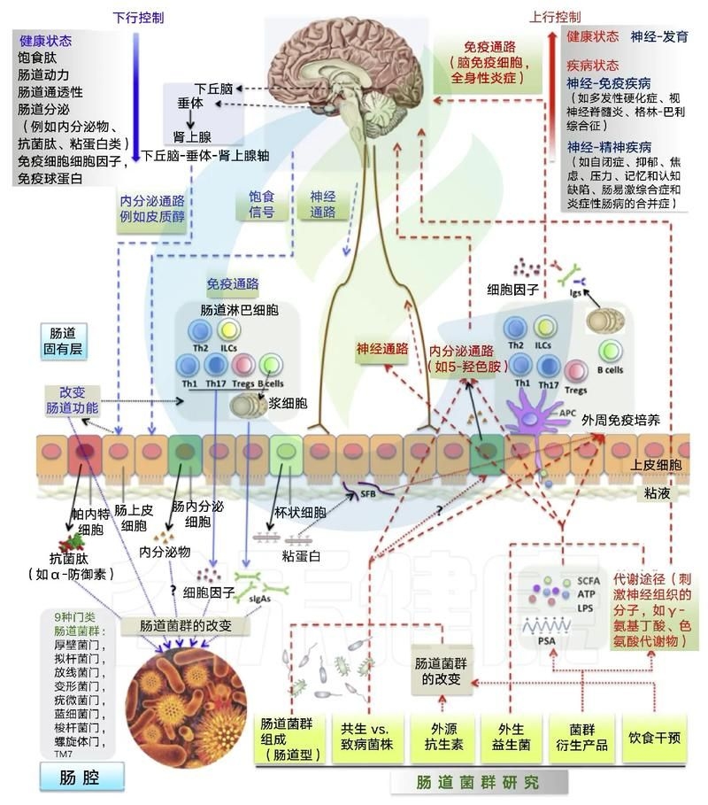 哪種補(bǔ)救方法副作用最小？ 行業(yè)新聞 第8張