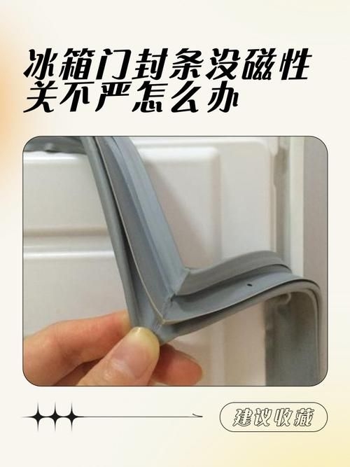 如何延長(zhǎng)冷凍庫的使用壽命？（如何延長(zhǎng)冷凍庫的使用壽命：如何延長(zhǎng)冷凍庫的使用壽命） 行業(yè)新聞 第7張