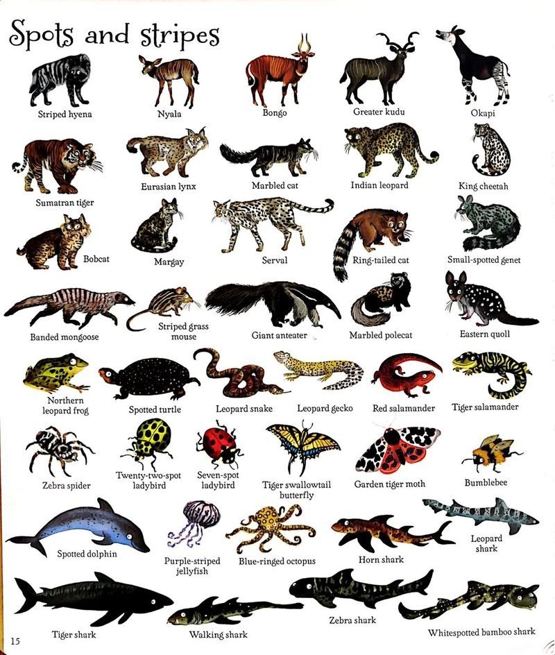 這本書(shū)有哪些特點(diǎn)？ 行業(yè)新聞 第5張