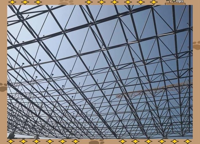 有哪些高質(zhì)量的網(wǎng)架結(jié)構(gòu)圖片？（如何找到高質(zhì)量的網(wǎng)架結(jié)構(gòu)圖片？） 行業(yè)新聞 第12張