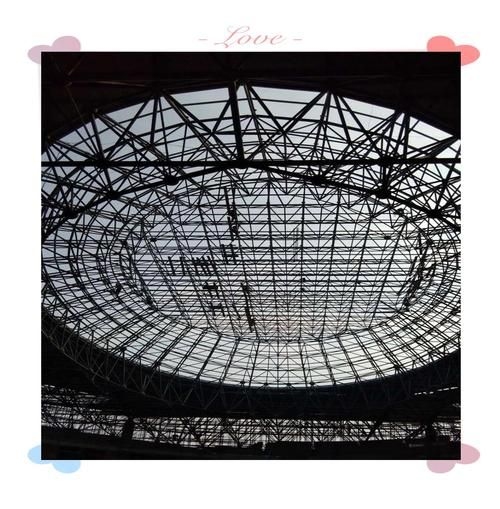 有哪些高質(zhì)量的網(wǎng)架結(jié)構(gòu)圖片？（如何找到高質(zhì)量的網(wǎng)架結(jié)構(gòu)圖片？） 行業(yè)新聞 第23張