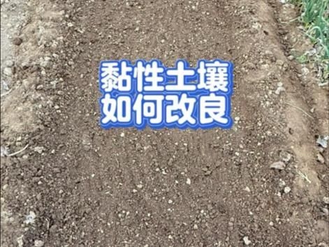 哪種方法更適合黏性土（哪種方法更適合黏性土填方壓實(shí)） 行業(yè)新聞 第2張
