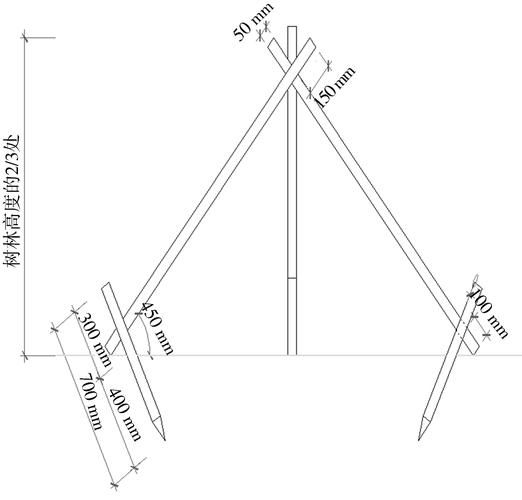 如何安裝樹木支撐桿？（如何安裝樹木支撐桿，用戶要求1000字詳解+配圖） 行業(yè)新聞 第1張