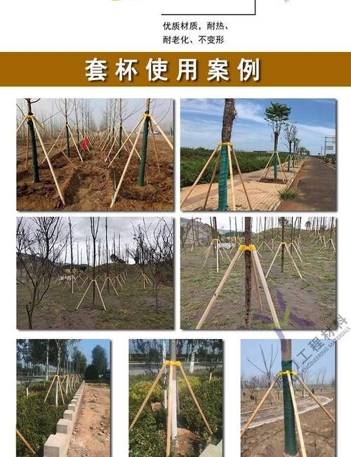 如何安裝樹木支撐桿？（如何安裝樹木支撐桿，用戶要求1000字詳解+配圖） 行業(yè)新聞 第6張