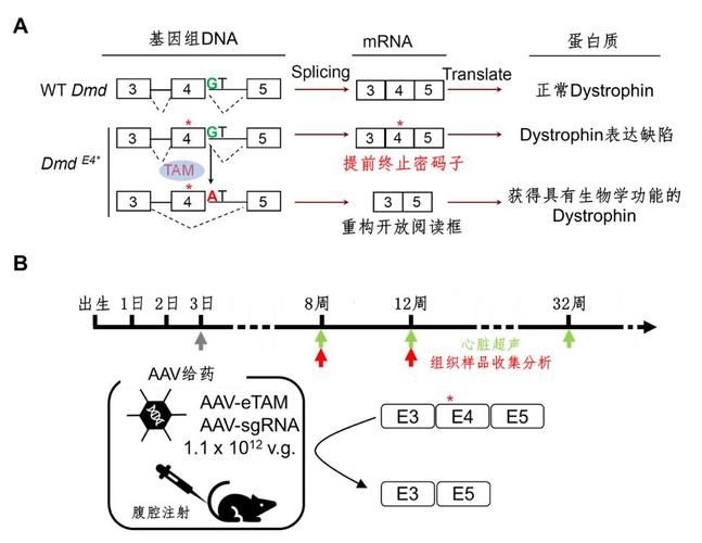 這些新技術(shù)中哪項最具創(chuàng)新性(2025-2026年全球權(quán)威機構(gòu)發(fā)布十大突破性技術(shù)) 行業(yè)新聞 第1張 這些新技術(shù)中哪項最具創(chuàng)新性(2025-2026年全球權(quán)威機構(gòu)發(fā)布十大突破性技術(shù)) 行業(yè)新聞 第1張