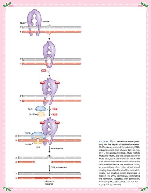 這些新技術(shù)中哪項最具創(chuàng)新性(2025-2026年全球權(quán)威機構(gòu)發(fā)布十大突破性技術(shù)) 行業(yè)新聞 第4張 這些新技術(shù)中哪項最具創(chuàng)新性(2025-2026年全球權(quán)威機構(gòu)發(fā)布十大突破性技術(shù)) 行業(yè)新聞 第4張