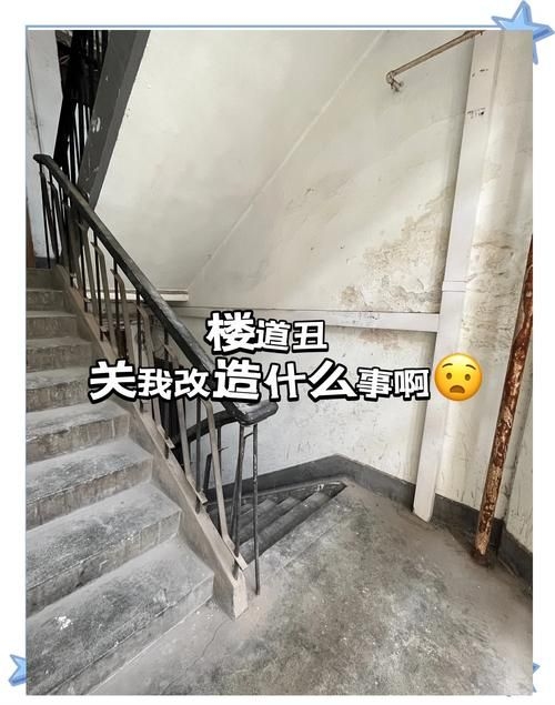 哪家加固公司性價(jià)比最高？ 行業(yè)新聞 第8張